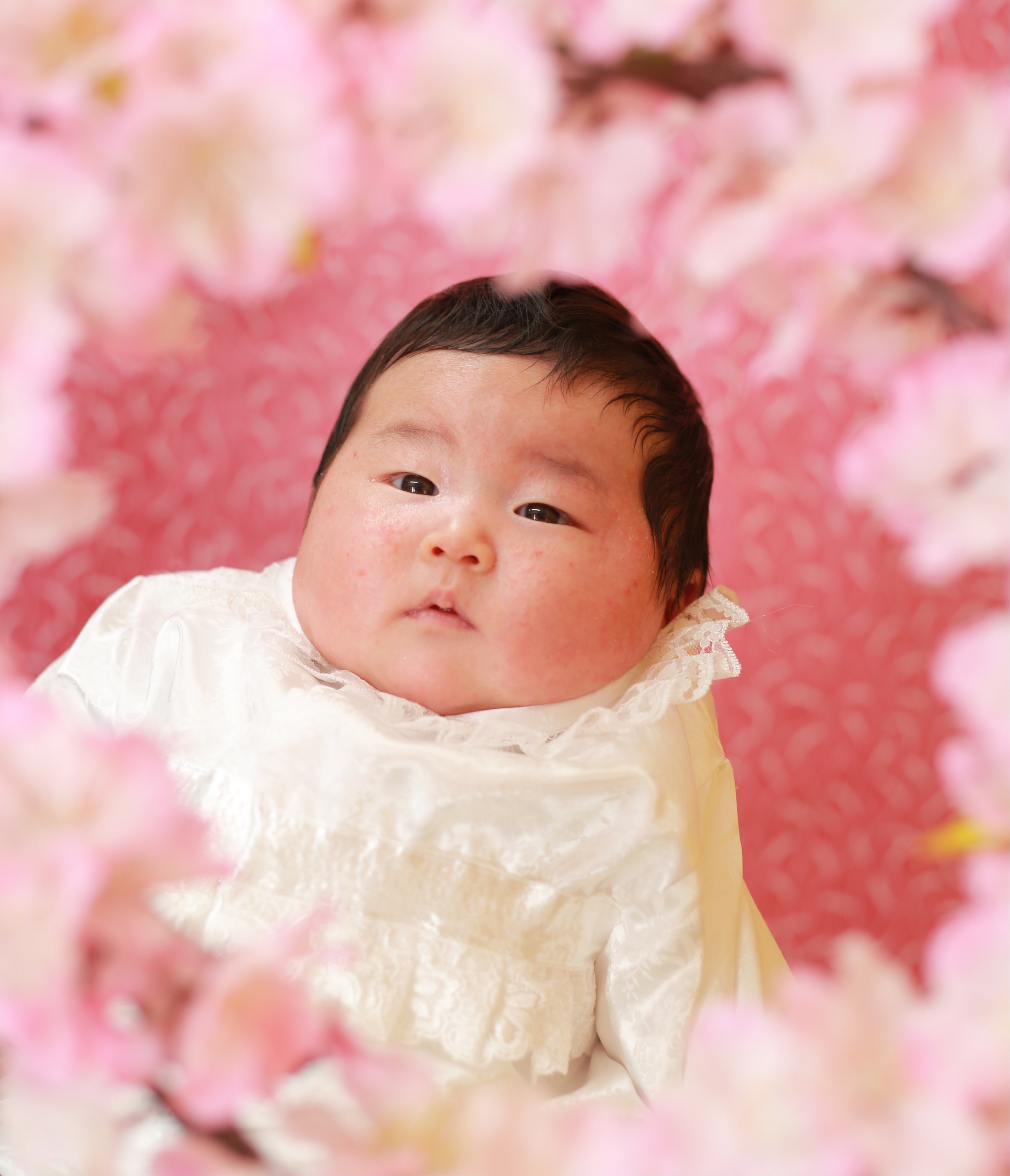 桜の花に囲まれて3/10