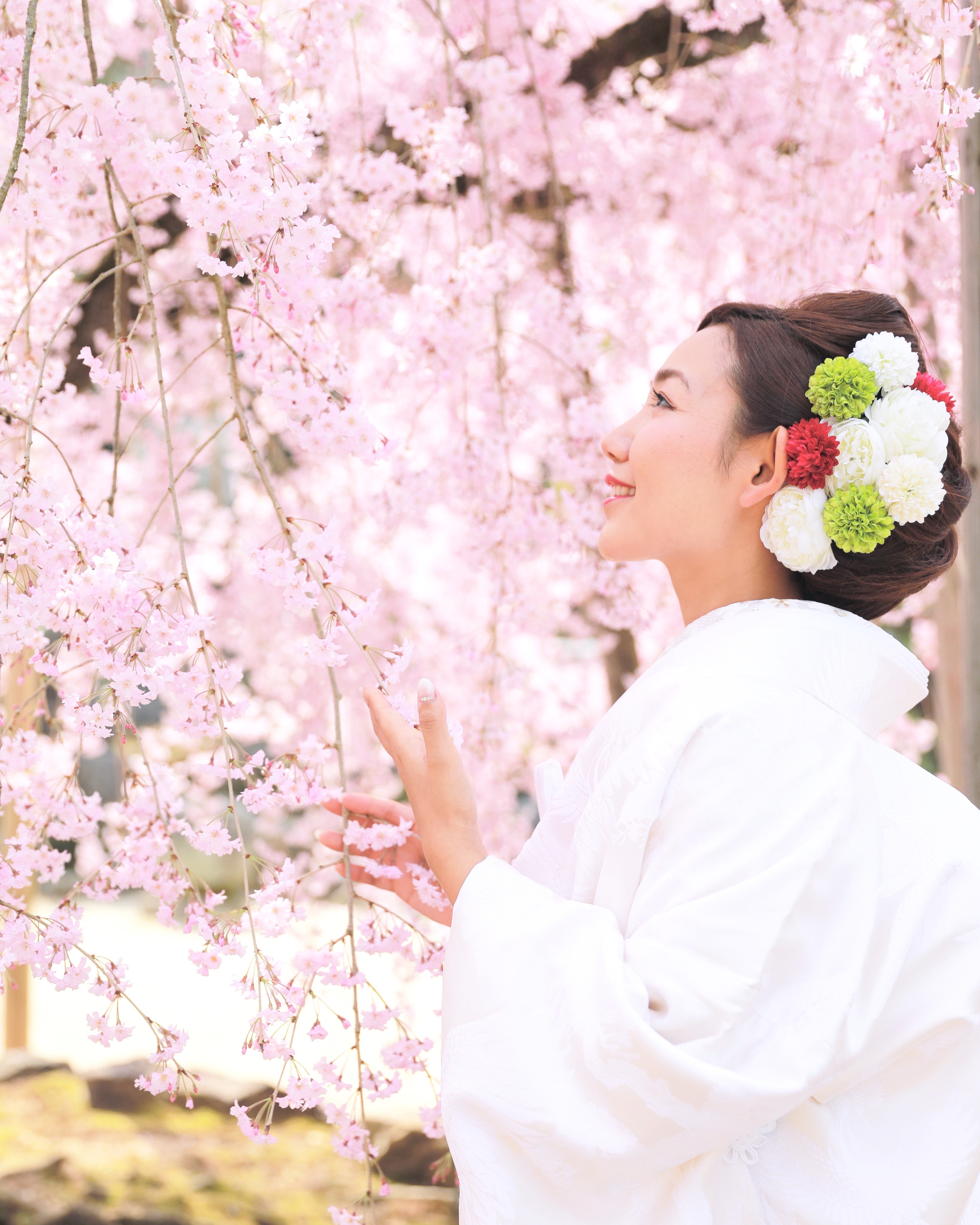 夢の桜と和装婚