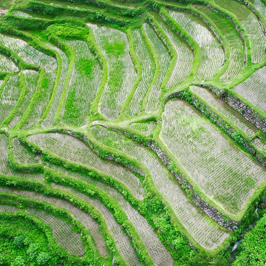 ドローンで棚田の風景撮影☆