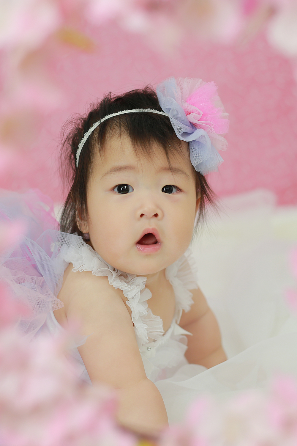 家族のアイドル♪