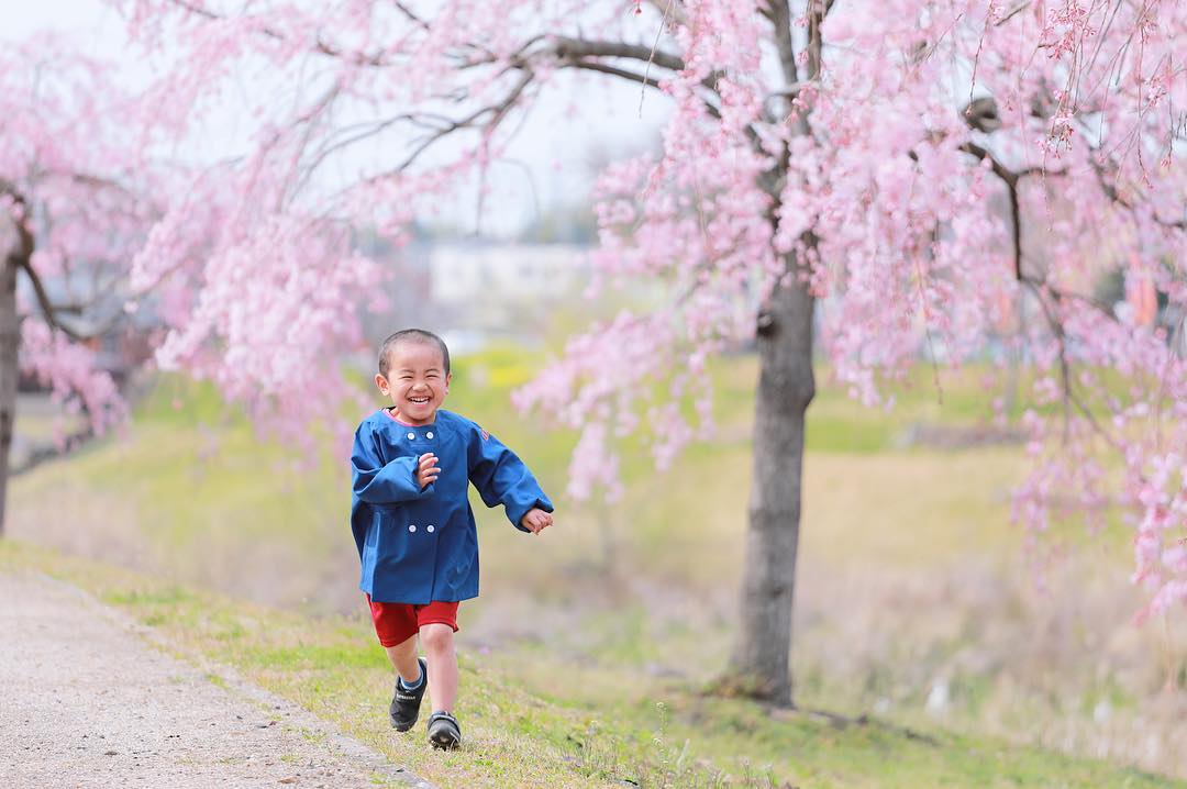 可児川で桜と入園フォト 【可児市】