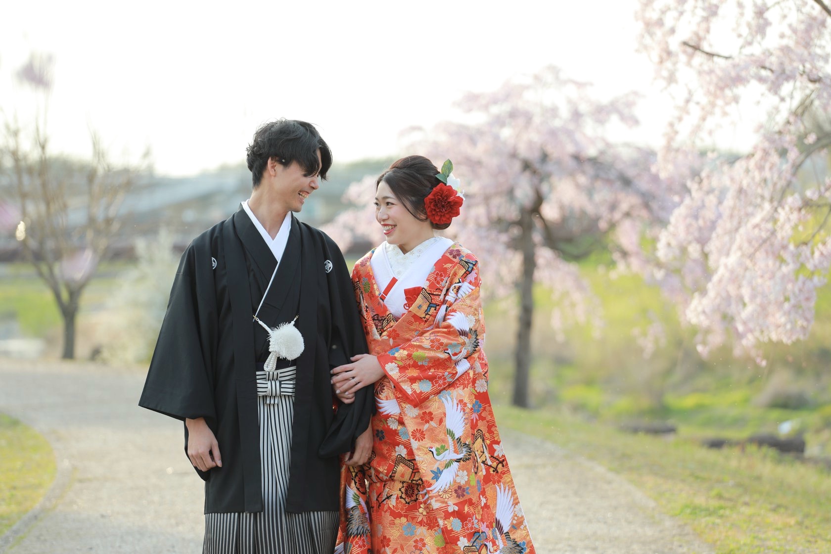桜で和装前撮り ブライダルフォト【可児川】