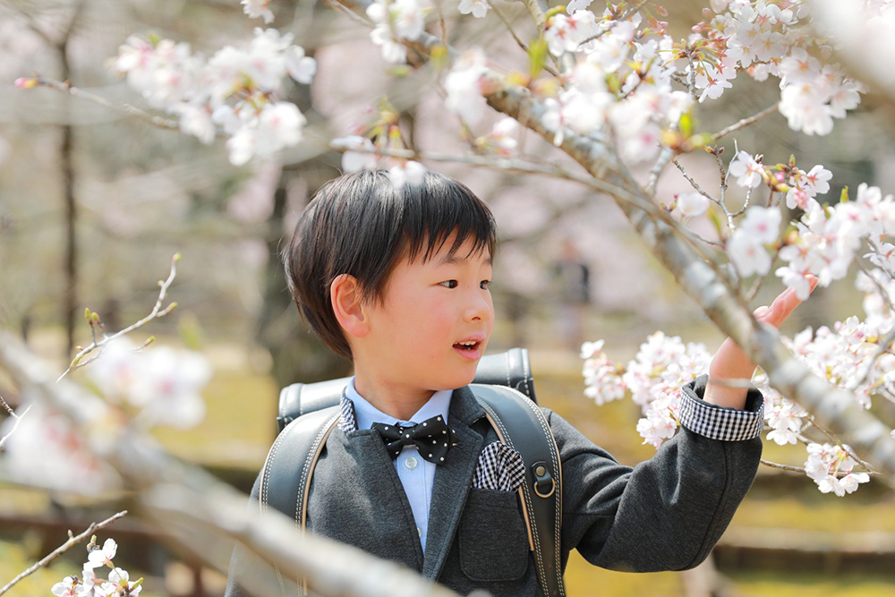 美濃加茂市のさくらの森で入学フォト 【出張フォト可児】
