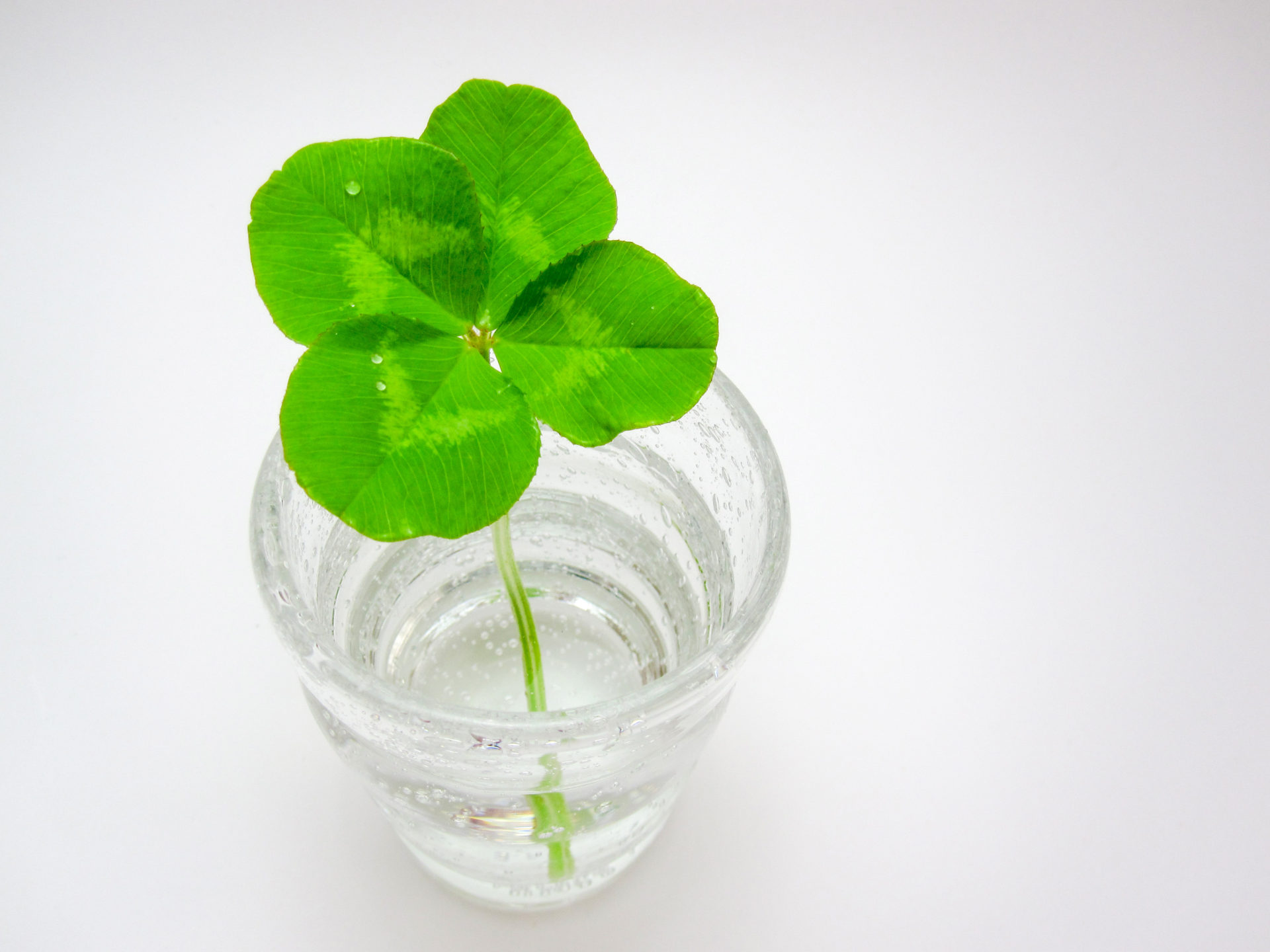 メモリアルヌード撮影